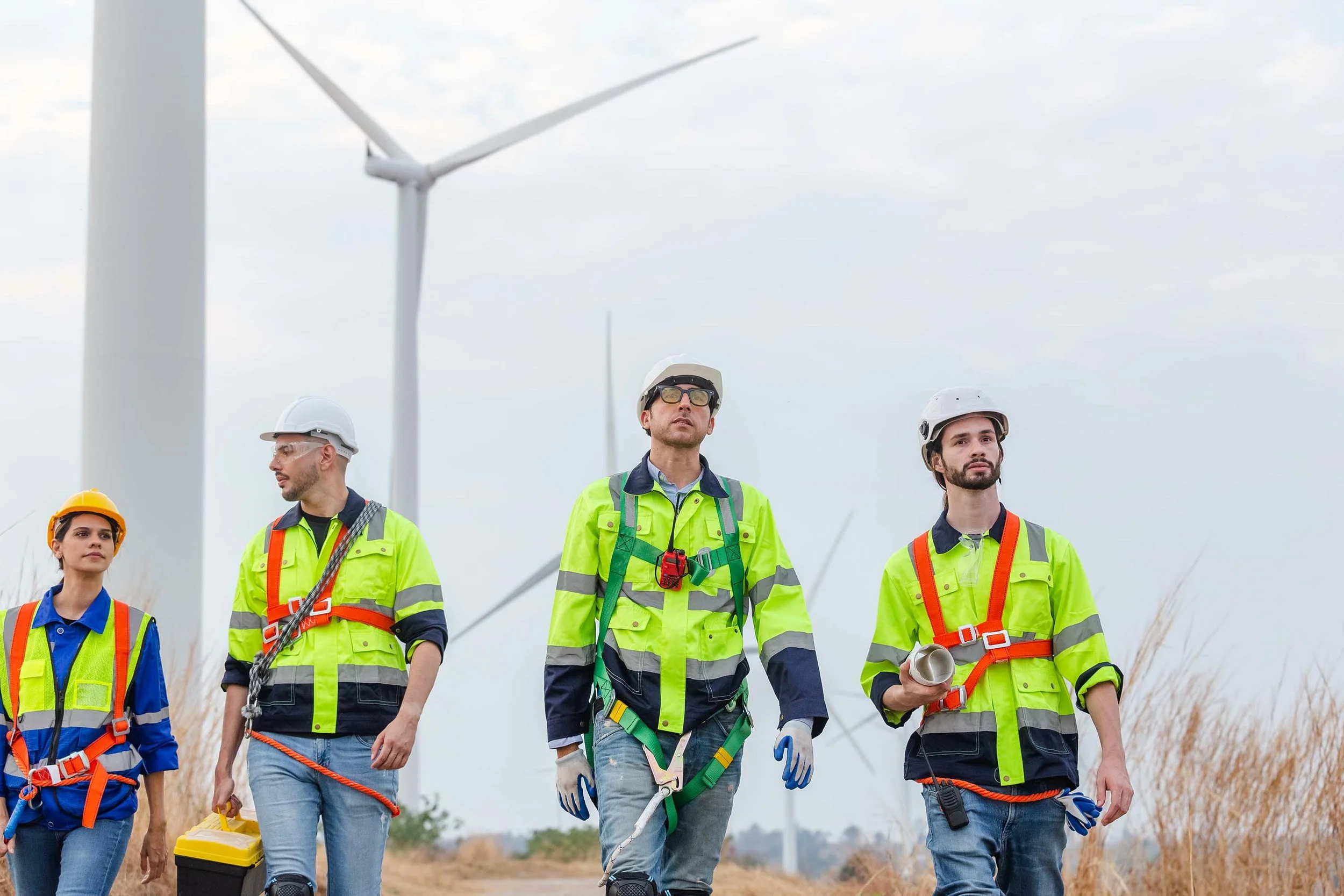 Group of workers in safety gear walking near wind turbines in a field.